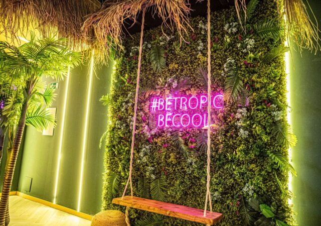Falafel tropicool restaurante plant based x-madrid