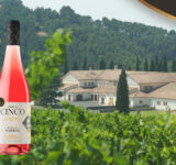 Señorío de Sarría Viñedo Cinco 2025, rosado de Garnacha de viñas viejas de Navarra, premiado en MUNDUS VINI