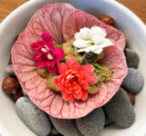 plato flores comestibles Pipilacha Madrid